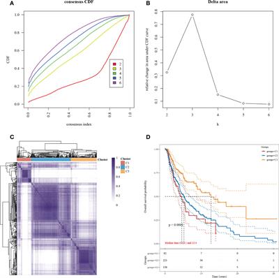 PGAM5: A necroptosis gene associated with poor tumor prognosis that promotes cutaneous melanoma progression